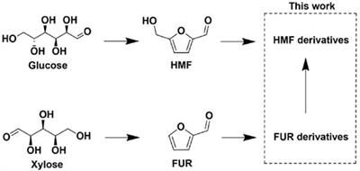 Production of Hydroxymethylfurfural Derivatives From Furfural Derivatives via Hydroxymethylation